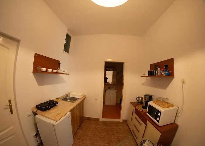 Main Square Large Apartment Sibiu