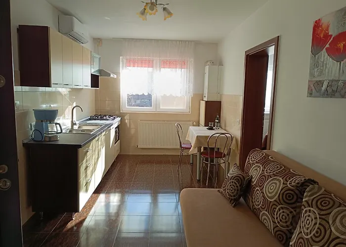 Garsoniera Strada Bucegi Apartment Sibiu