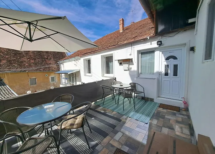 Free Private Parking In The Center - Deliamo 3- Studio Sibiu