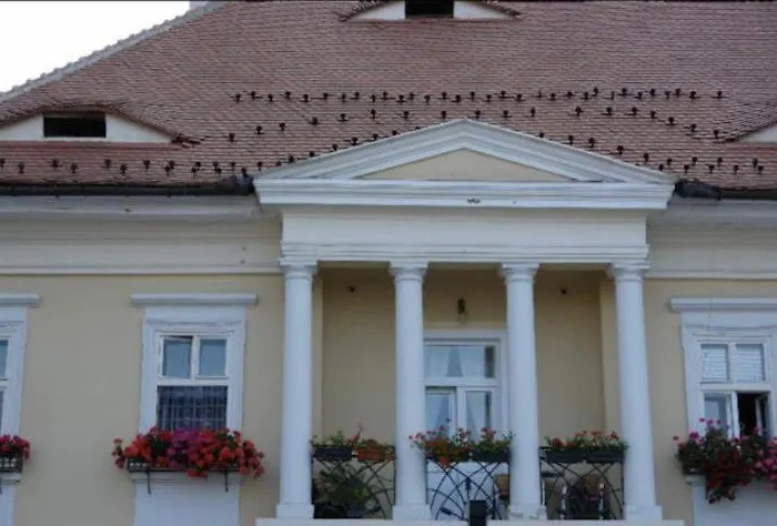 View Of Main Square Studio Sibiu
