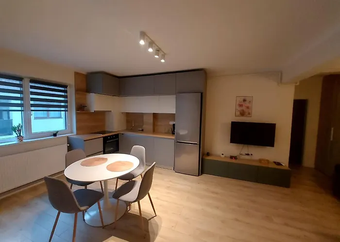 Ready To Use Apartment Sibiu