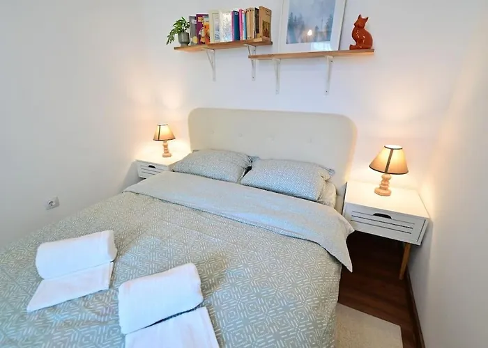Flh - The Great Novel Apartment Sibiu