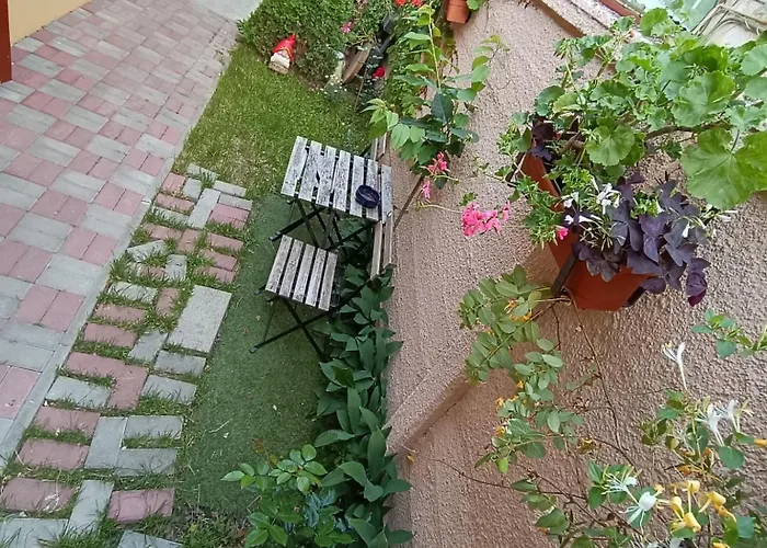FLH - Apartament Mai cu aromă de cafea și ceai Sibiu