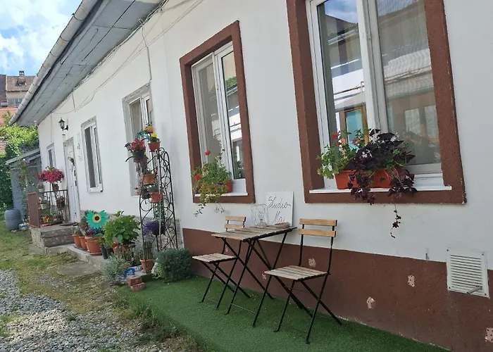 FLH - Studio Mai cu aroma de cafea si ceai Sibiu