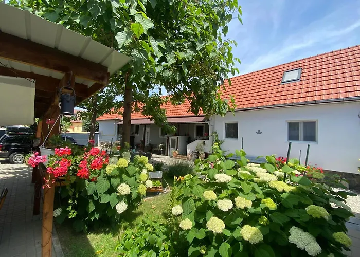 Casa Tei Apartment Sibiu