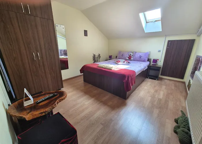 Floare de Colț Apartment Sibiu