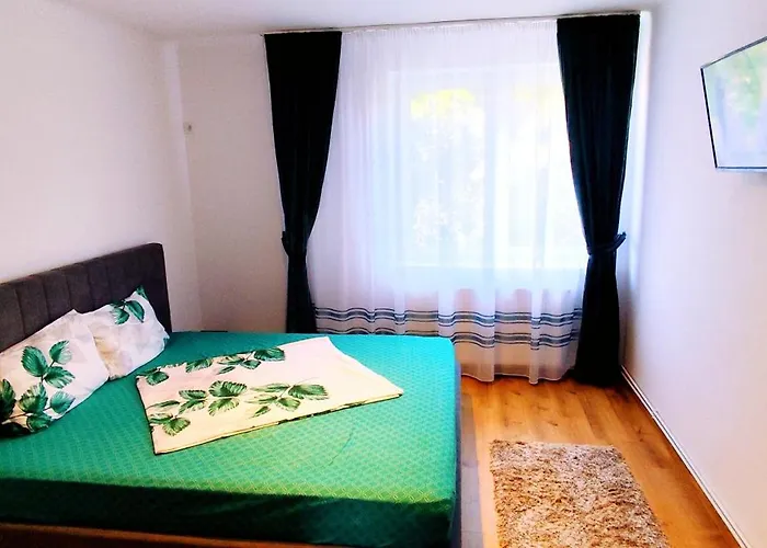 Flamingo Apartment Sibiu