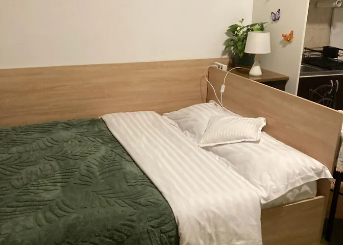 House Centrul Istoric Apartment Sibiu