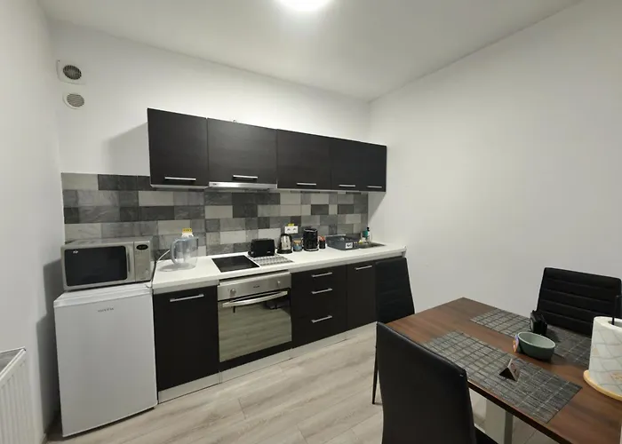Ben Apartments Near City Center Sibiu