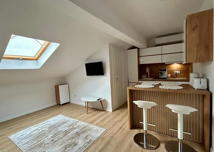 Theo House One Apartment Sibiu