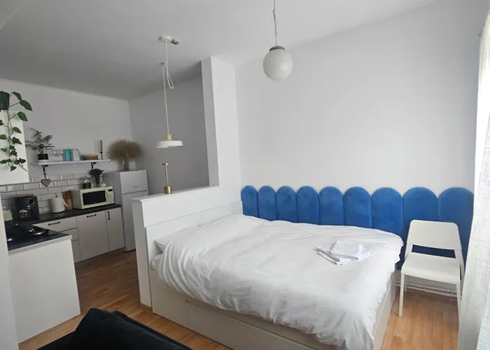 Cozy Studio Hermannstadt