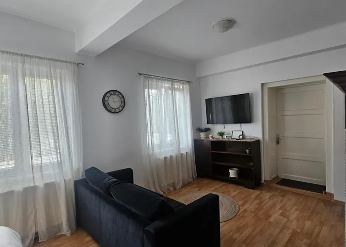 Cozy Studio Hermannstadt