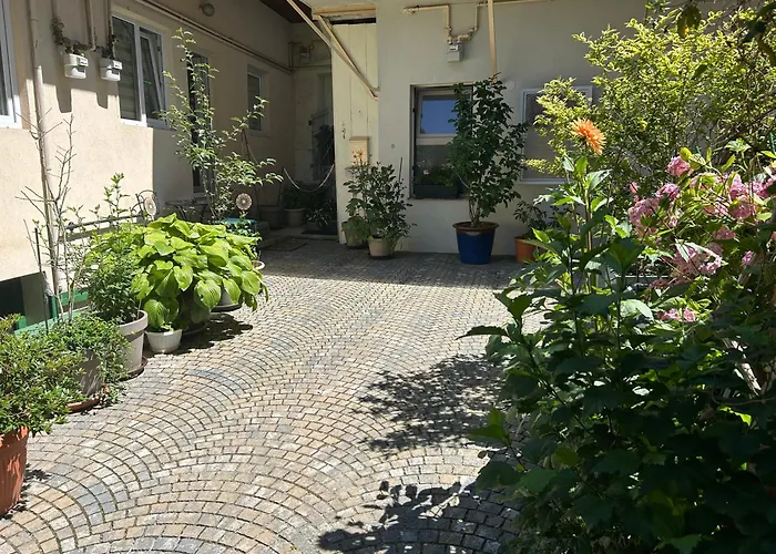 FLH - Tribunei Nest Sibiu