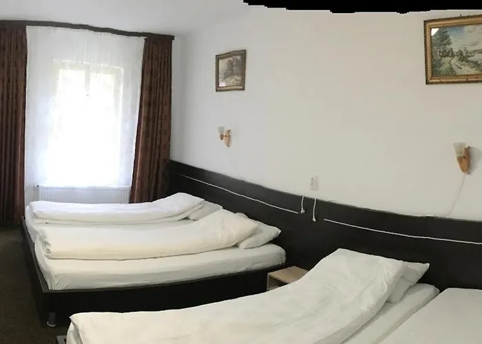 Iony Apartament Sibiu