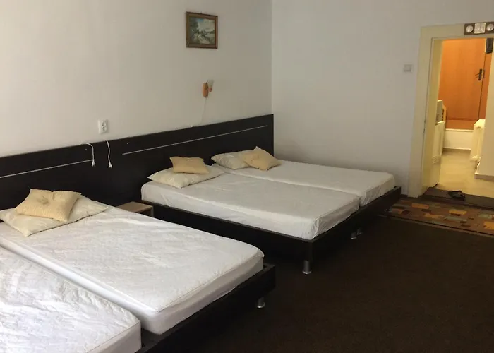 Iony Apartament Sibiu